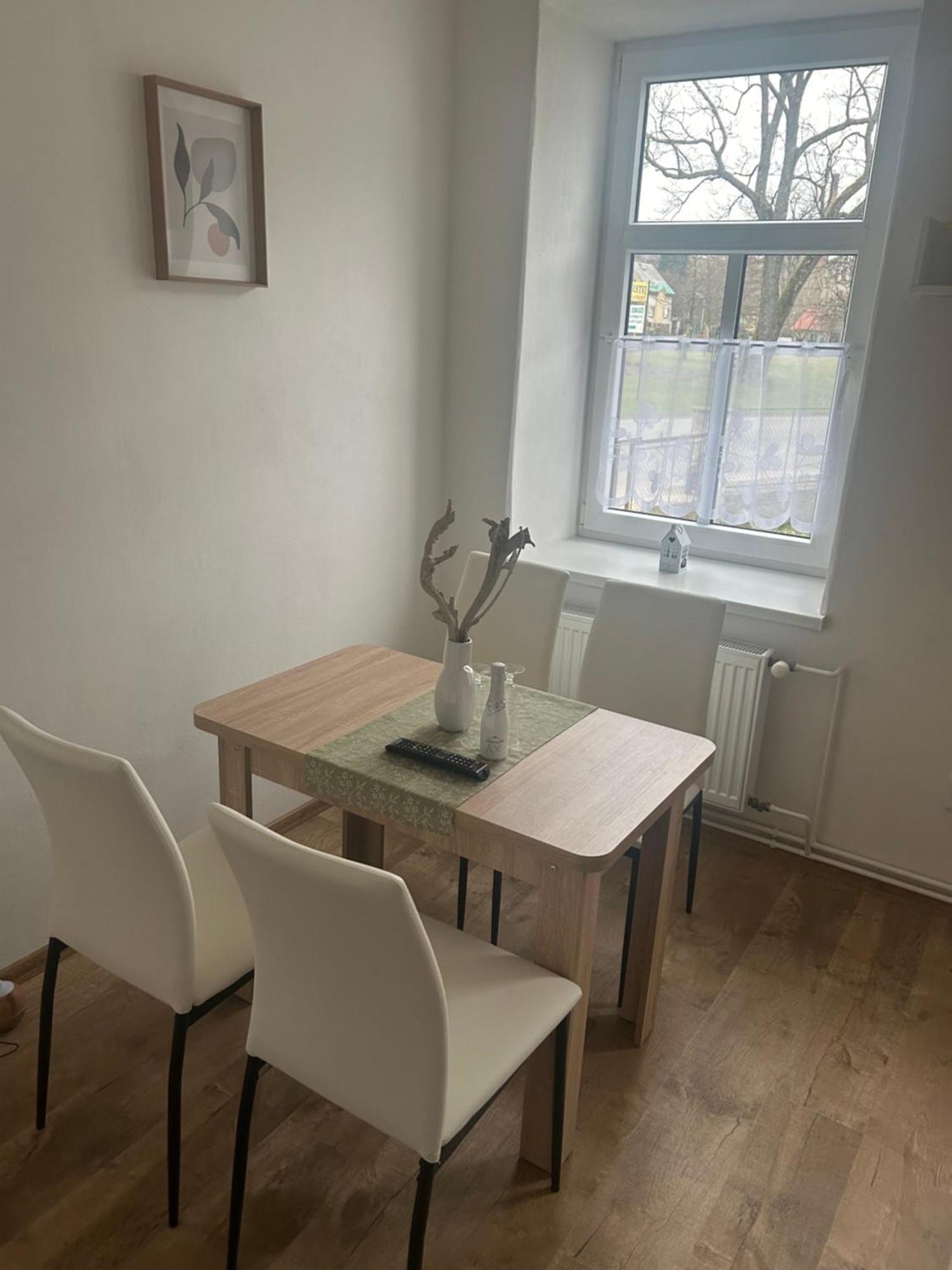 Apartman Krkovicka Mikulášovice エクステリア 写真